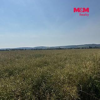 Prodej zemědělské půdy 244621 m&sup2; Město Albrechtice