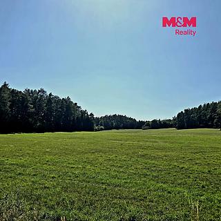 Prodej louky 26455 m&sup2; Horažďovice