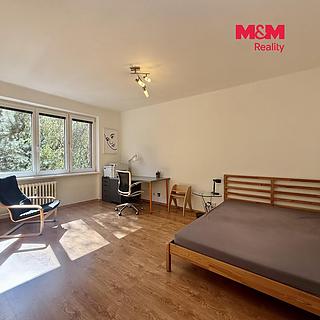 Prodej bytu 1+1 37 m&sup2; Ostrava