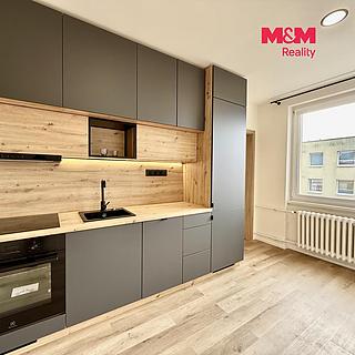 Pronájem bytu 1+1 41 m&sup2; Praha