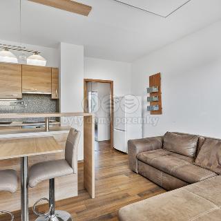 Pronájem bytu 1+1 44 m² Jablonec nad Nisou, Skelná