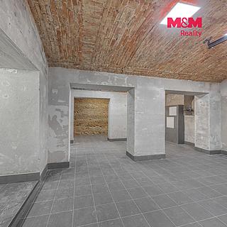 Prodej Ostatních komerčních prostor 110 m&sup2; Praha
