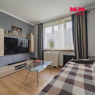 Pronájem bytu 1+kk, garsoniery 20 m&sup2; Mariánské Lázně