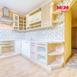 Pronájem bytu 1+1 38 m&sup2; Plasy