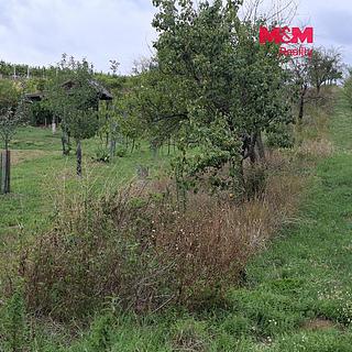 Prodej zemědělské půdy 610 m&sup2; Vlkoš