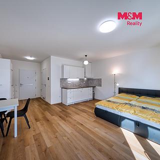Prodej bytu 1+kk, garsoniery 38 m&sup2; Mladá Boleslav