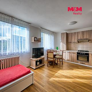 Prodej bytu 1+kk, garsoniery 30 m&sup2; Praha