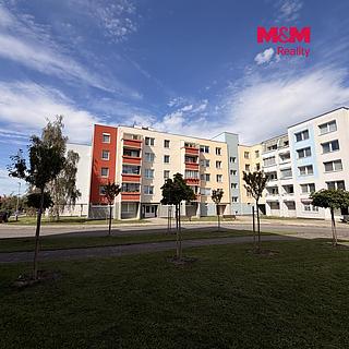 Prodej Ostatních komerčních prostor 16 m&sup2; Bechyně