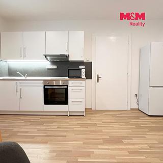 Pronájem bytu 2+kk 60 m&sup2; Řevničov