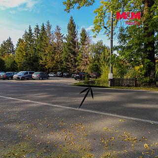 Prodej louky 4057 m&sup2; Zlaté Hory