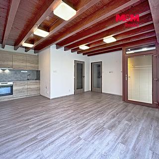 Pronájem obchodu 33 m&sup2; Liberec