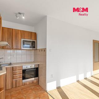 Prodej bytu 1+kk, garsoniery 21 m&sup2; Frýdek-Místek