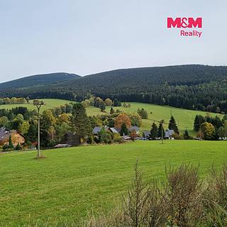 Prodej stavební parcely 3665 m&sup2; Ostružná