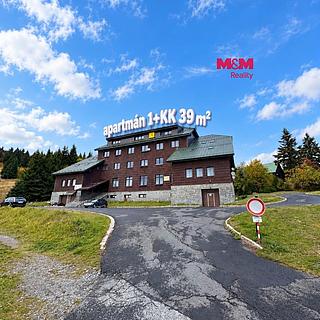 Prodej ostatního 39 m&sup2; Loučná nad Desnou