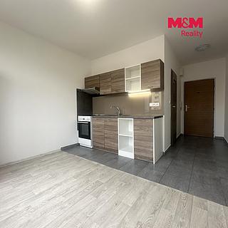 Pronájem bytu 1+1 36 m&sup2; Chomutov