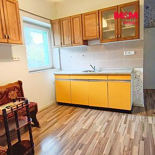 Pronájem bytu 1+1 19 m&sup2; Roztoky