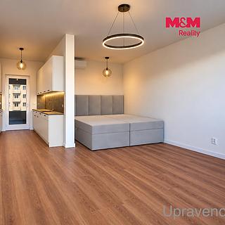 Pronájem bytu 1+kk, garsoniery 39 m&sup2; Praha