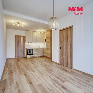 Pronájem bytu 3+kk 52 m&sup2; Praha