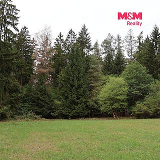 Prodej lesa 1762 m&sup2; Chanovice
