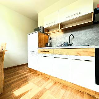 Pronájem bytu 2+1 54 m² Ostrava, Mánesova