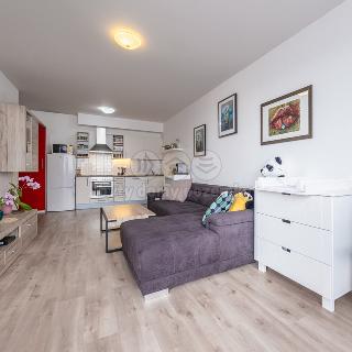 Prodej bytu 2+kk 50 m² Praha, Pod Harfou