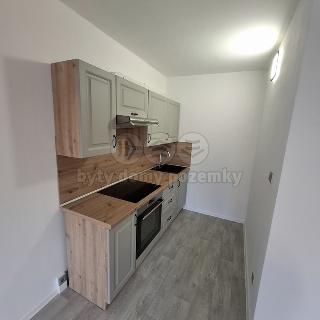 Pronájem bytu 2+kk 40 m² Žatec, Písečná