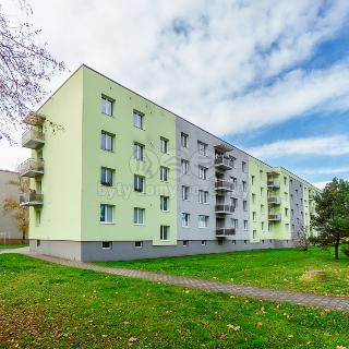 Prodej bytu 1+kk a garsoniéry 22 m² Pardubice, Družstevní