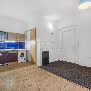 Prodej bytu 1+kk a garsoniéry 19 m² Ústí nad Labem, Emy Destinové