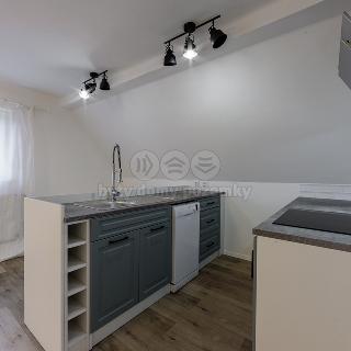 Prodej bytu 2+kk 44 m² Hájek