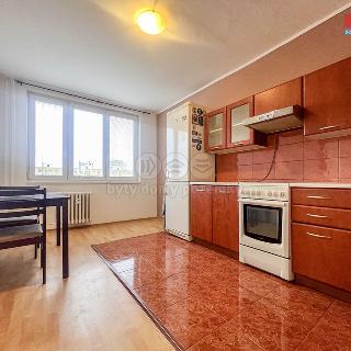 Pronájem bytu 1+1 40 m² Praha, Třinecká