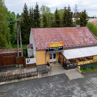 Prodej restaurace 166 m² Horní Loděnice