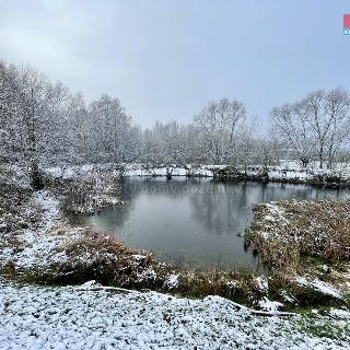 Prodej vodní plochy Hrejkovice