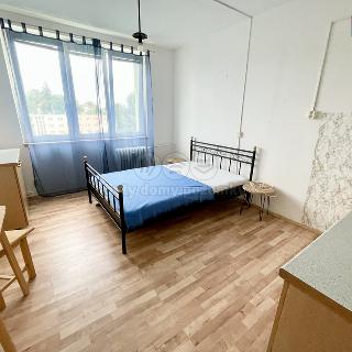 Pronájem bytu 1+kk a garsoniéry 19 m² Chodov, Palackého