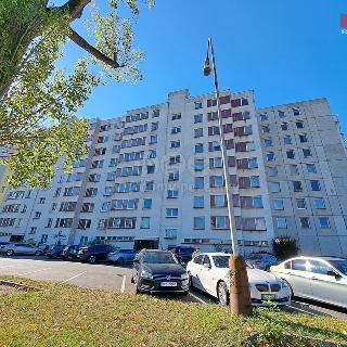 Prodej bytu 2+1 48 m² Písek, Na Pěníku