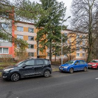 Prodej bytu 2+1 60 m² Litoměřice, Topolčianská