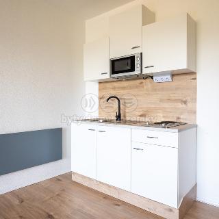 Prodej bytu 1+kk a garsoniéry 38 m² Stožec