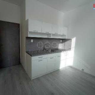 Pronájem bytu 1+1 33 m² Frýdek-Místek, Růžový pahorek