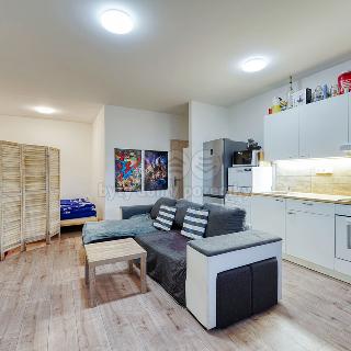 Pronájem bytu 1+kk a garsoniéry 39 m² Radnice, náměstí Kašpara Šternberka