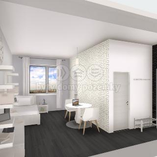 Pronájem bytu 1+kk a garsoniéry 22 m² Ostrava, Krasnoarmejců