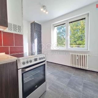 Pronájem bytu 1+1 37 m² Ostrava, Slavíkova