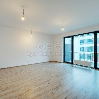 Prodej bytu 1+kk a garsoniéry 40 m² Plzeň, Goldscheiderova