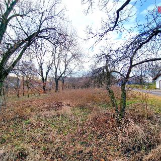 Prodej stavební parcely Opava