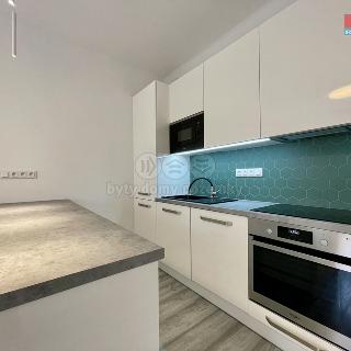 Pronájem bytu 2+kk 48 m² Brno, Sýpka