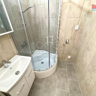 Pronájem bytu 2+1 47 m² Praha, Batelovská