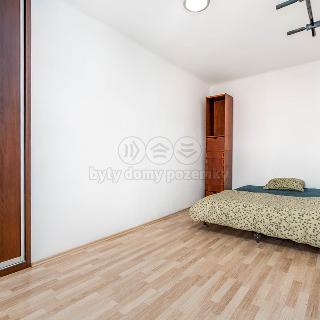 Prodej bytu 1+1 42 m² Praha, V Horkách