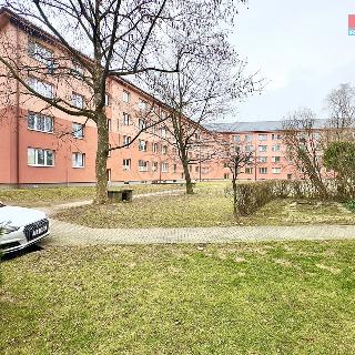 Prodej bytu 3+1 77 m² Havířov, Ostrovského