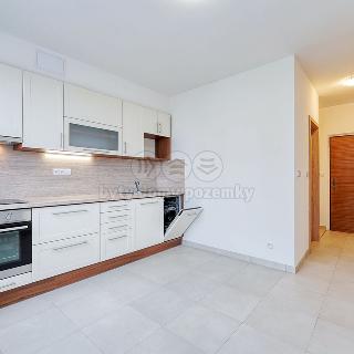 Pronájem bytu 1+1 44 m² Žihle