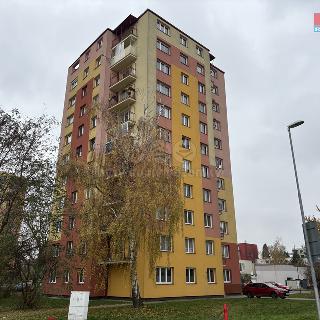 Pronájem bytu 2+1 53 m² Pardubice, S. K. Neumanna