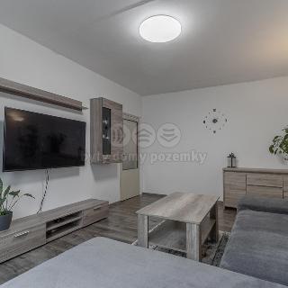 Prodej bytu 2+1 59 m² Klatovy, U Retexu