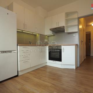 Pronájem bytu 2+1 55 m² Ostrava, Vdovská